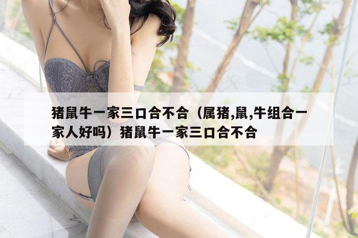 猪鼠牛一家三口合不合(属猪,鼠,牛组合一家人好吗)猪鼠牛一家三口合不合